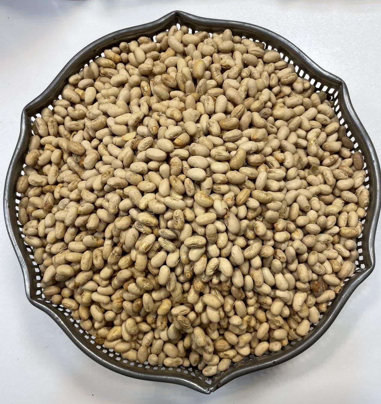 سویا آجیلی