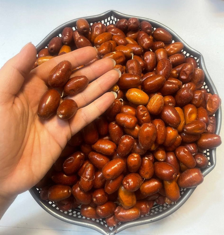 سنجد درباری